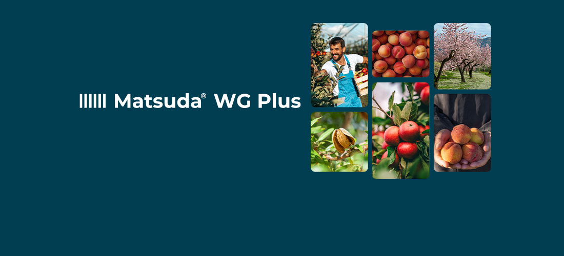 Matsuda WG Plus: il flazasulfuron autorizzato definitivamente su pomacee, drupacee e frutta a guscio