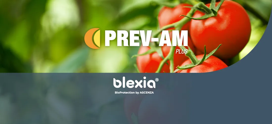 Prev-am pomodoro