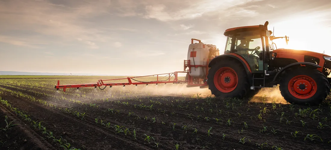 Tractor spraying pesticides on corn field with sprayer