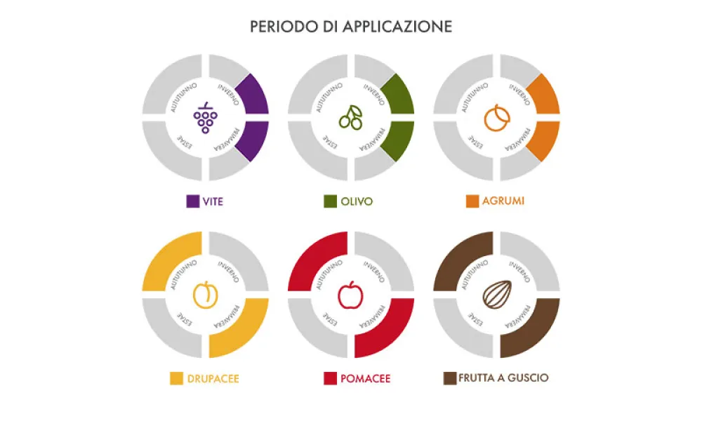 Periodo di applicazione