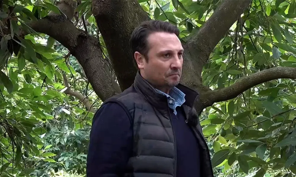 Andrea Passanisi