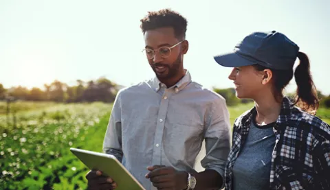 Modern farmer working on a tablet on farm land checking and looking at green harvest progress with online app in harvesting season. Male and female farming workers happy with agriculture lifestyle