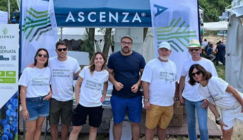 enovitis in campo 2024